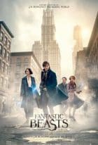 Fantastic Beasts and Where to Find Them 2016 Full Movie Free Download Bluray