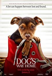 A Dog’s Way Home 2019 Full Movie Free Download HD 720p
