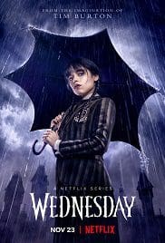 Wednesday Season 1 Full HD Free Download HD Web-DL [English DDP5.1 + Hindi DDP5.1]